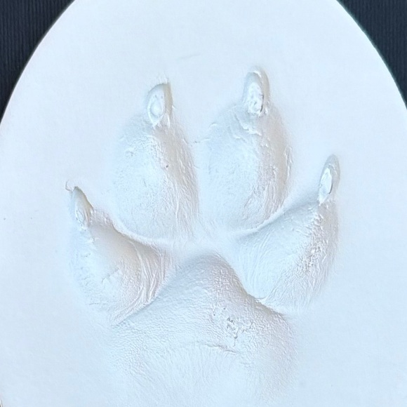 Meet your Posher - Picture 1 of 1